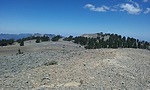 photo thumbnail #14
