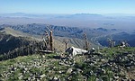 photo thumbnail #8