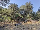 2023-07-21 :2: Haunted Canyon #203 :: pseudalpine