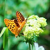 photo thumbnail #14