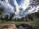 photo thumbnail #15