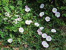 photo thumbnail #14