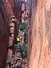 photo thumbnail #13