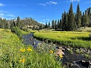 photo thumbnail #10