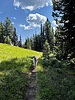 photo thumbnail #7