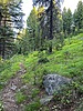 photo thumbnail #3