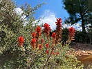 photo thumbnail #8