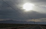 photo thumbnail #4