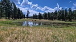 photo thumbnail #11