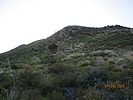 photo thumbnail #1