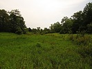 photo thumbnail #13