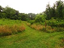 photo thumbnail #8