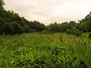 photo thumbnail #9