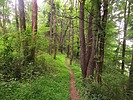photo thumbnail #6