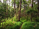 photo thumbnail #10