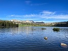 photo thumbnail #1