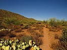 photo thumbnail #10