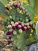 photo thumbnail #14