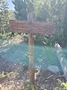 photo thumbnail #13