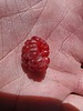 photo thumbnail #15
