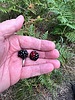 photo thumbnail #6
