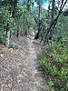 photo thumbnail #10