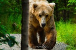 photo thumbnail #9