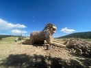 photo thumbnail #10
