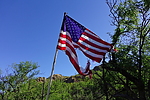 photo thumbnail #7