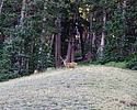 photo thumbnail #15