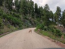 photo thumbnail #14