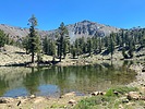 photo thumbnail #6