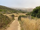 photo thumbnail #14