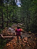 photo thumbnail #4