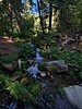 photo thumbnail #10