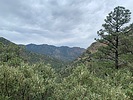 photo thumbnail #2