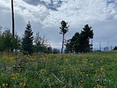 photo thumbnail #10