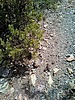 photo thumbnail #12