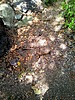 photo thumbnail #11