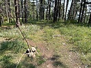 photo thumbnail #1