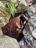 photo thumbnail #13