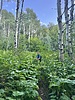 photo thumbnail #2