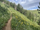 photo thumbnail #2
