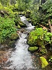 photo thumbnail #8