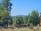 2023-07-21 :3: Flying Saucer ramble :: azbackpackr