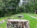 photo thumbnail #9