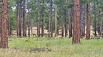 2023-07-11 :3: Big Bike Loop with BOB :: azbackpackr