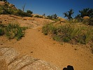 photo thumbnail #5