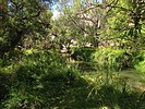 photo thumbnail #13
