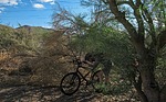 photo thumbnail #3